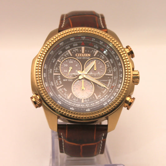 Reloj de pulsera Citizen Eco-Drive E820